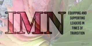What does IMN mean by Transitional Leadership?